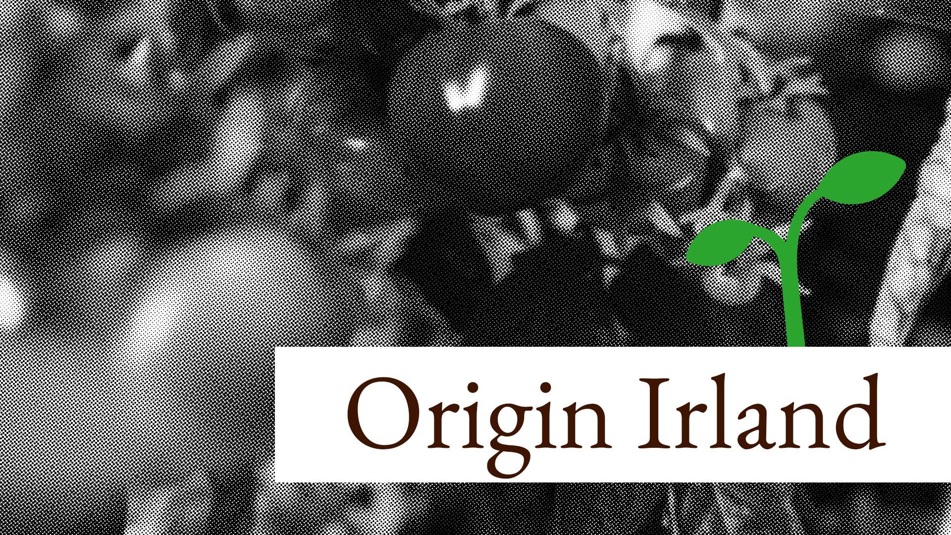 Origin Lebensmittel Irland ist günstig und 🌱 zukunftsträchtig