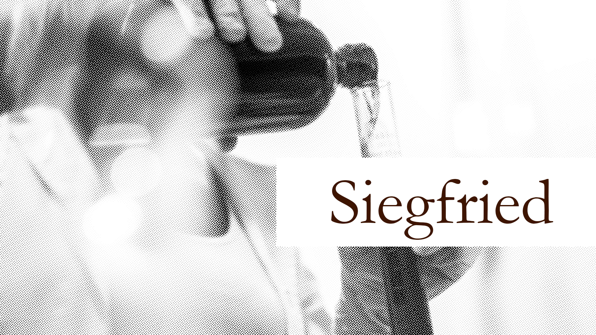 Schweizer Pharmalieferant: Siegfried