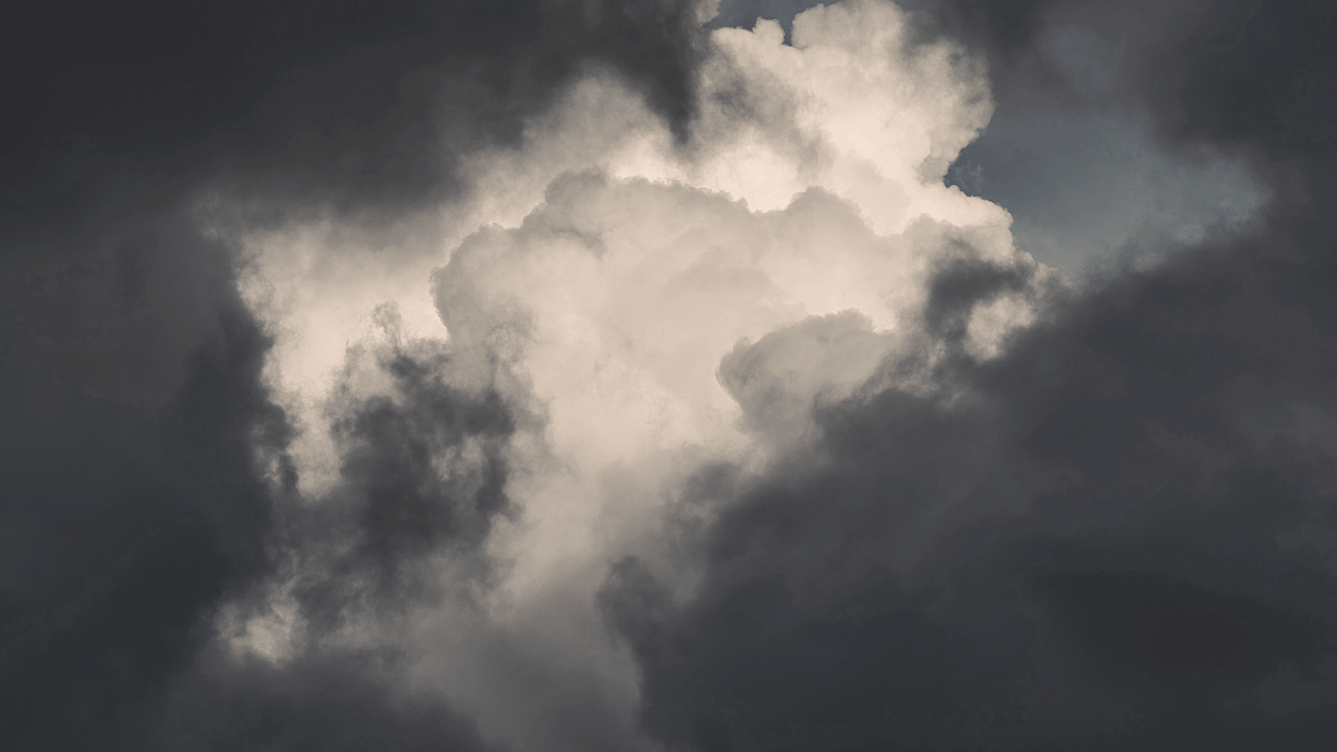 SaaS nach dem Sturm: Welche Aktien holen wieder auf?