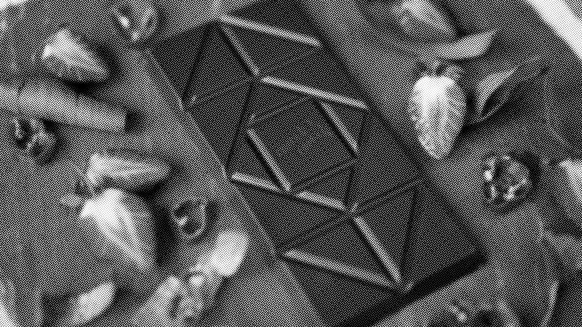 Obermatt loves Choba Choba, a farmerowned chocolate social enterprise