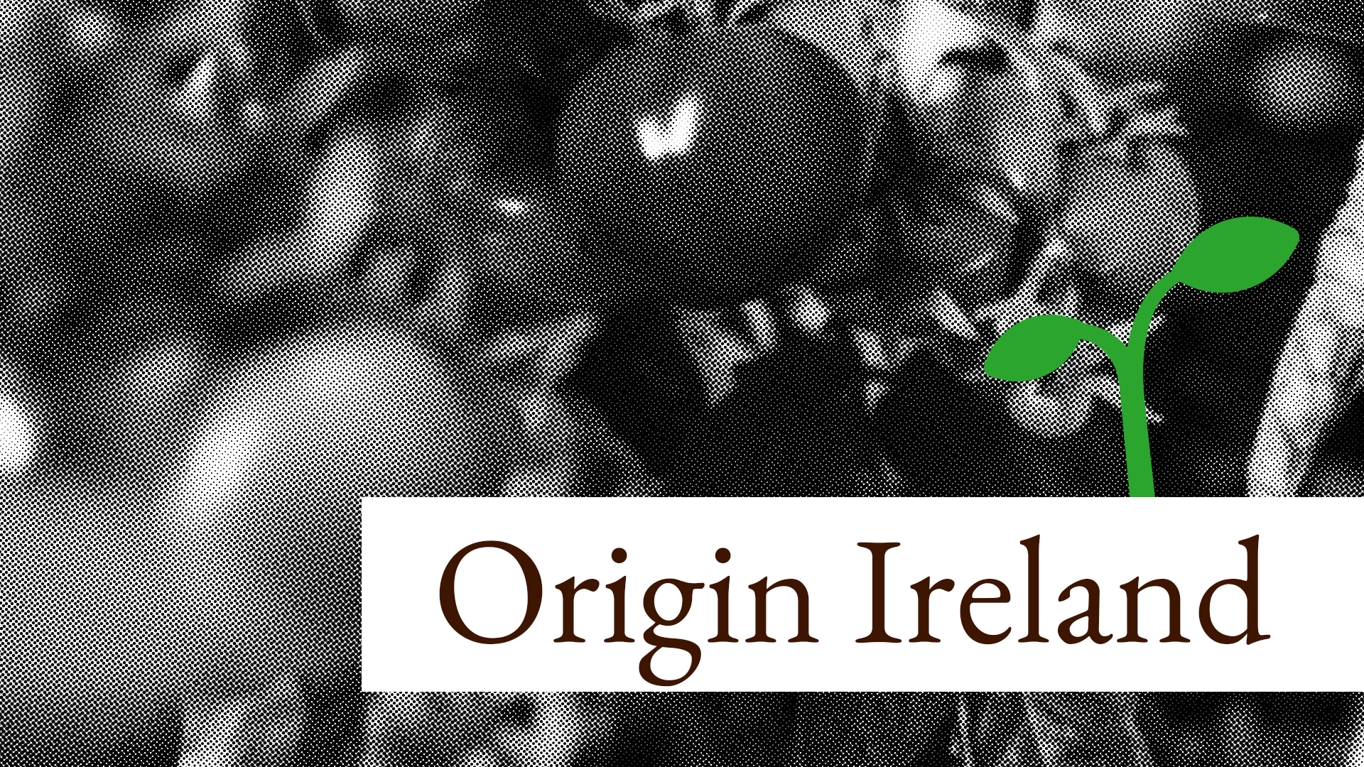 Origin food Ireland is cheap and ðŸŒ± promising