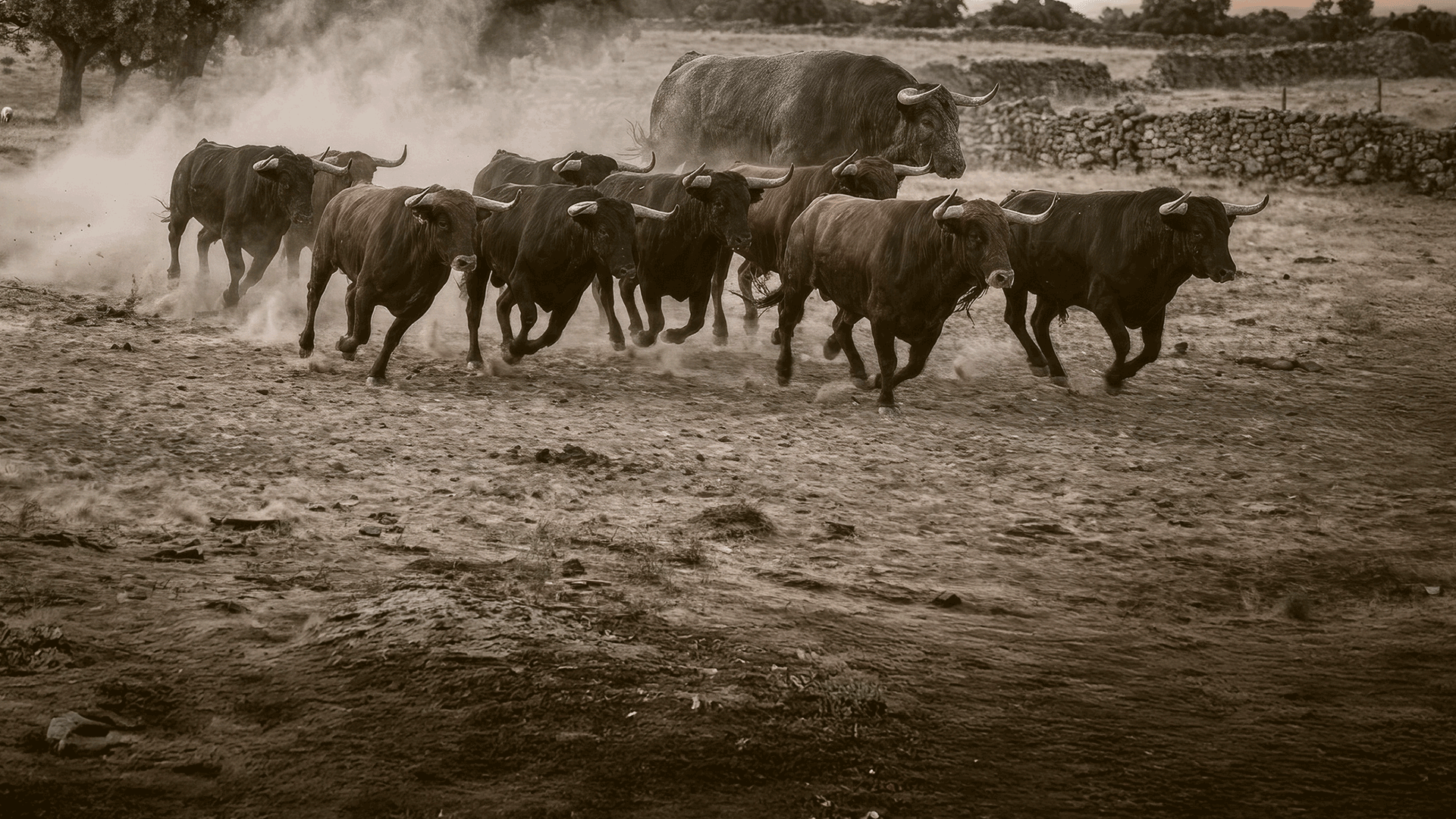 Beyond the Mega-Caps: Mid-Caps in Focus