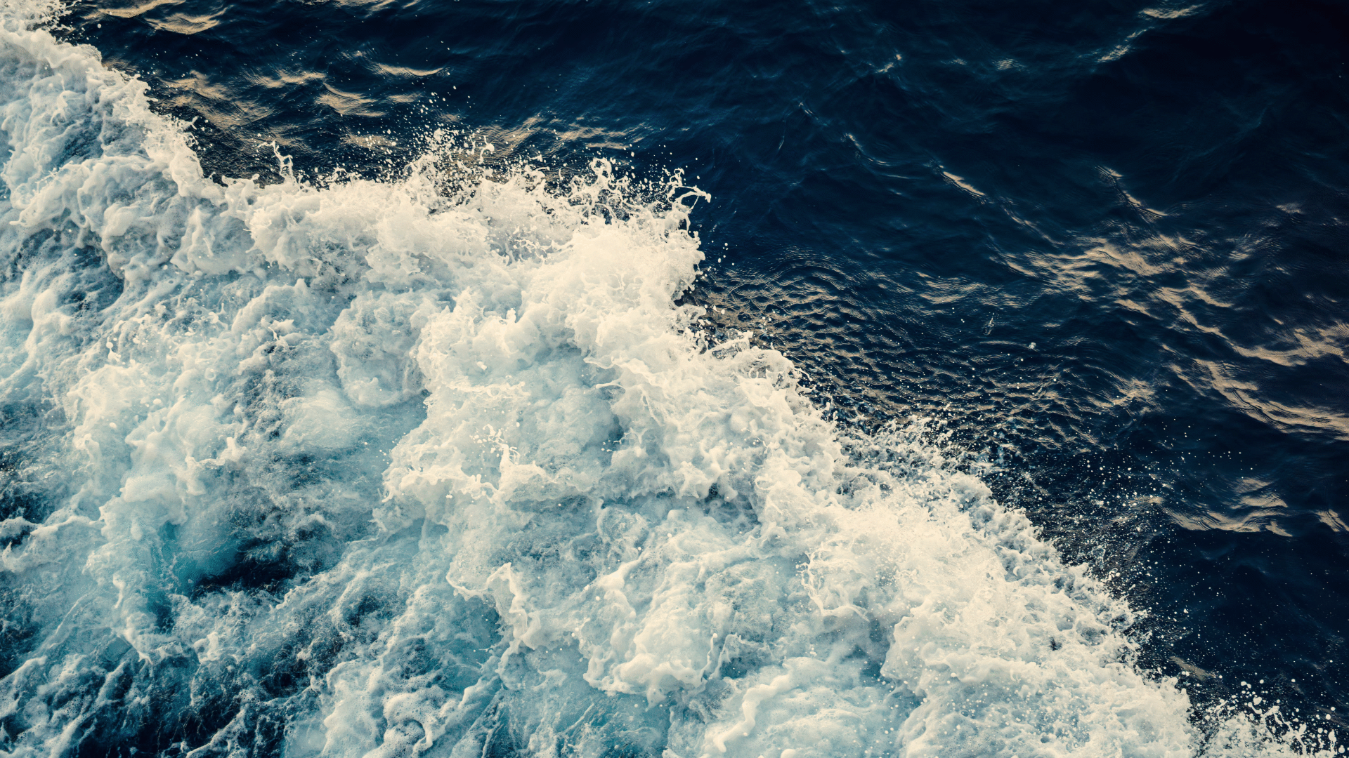 Adecco: On Both Sides of the AI Wave