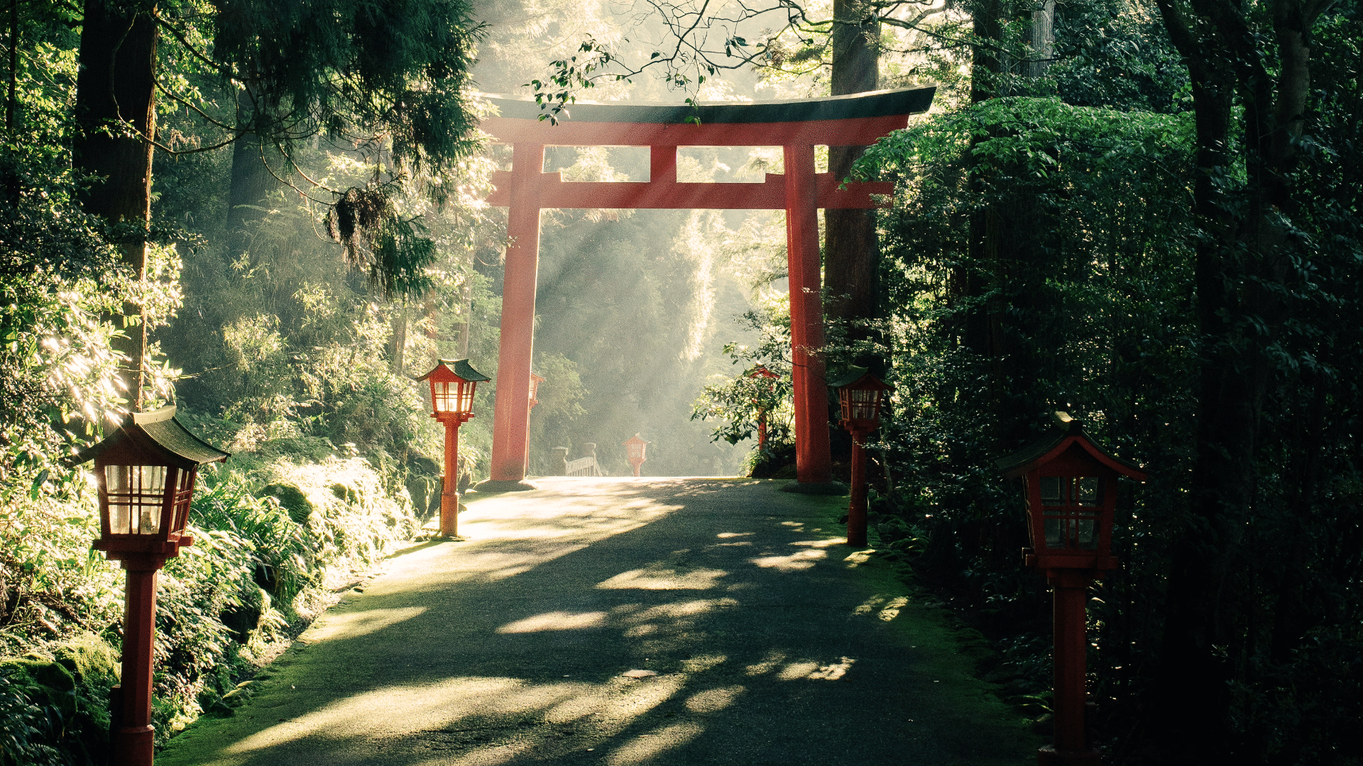 Japan's TOPIX 100 Top 10: Reforms, Inflation and a Weak Yen